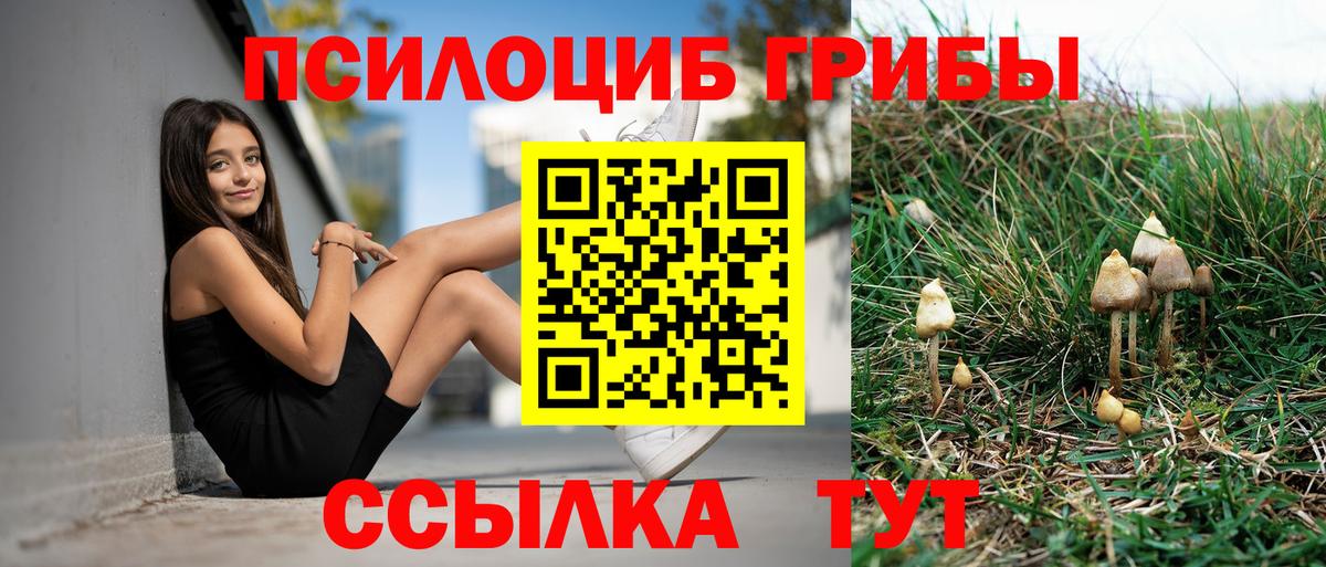 Псилоцибиновые грибы Magic Shrooms  Вход с VPN  Сертолово  Галлюциногенные грибы ЛСД 