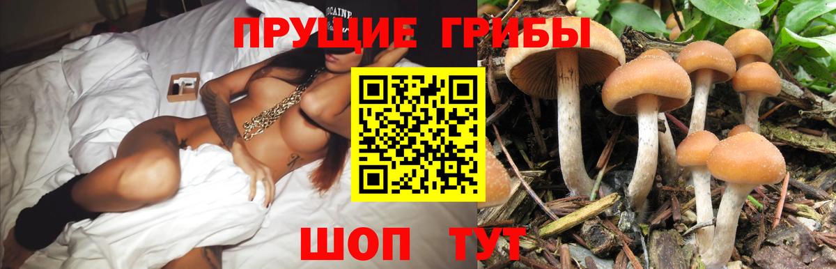 ГАШИШ  Канабис  Сертолово  Вход с VPN  МЕФ   Кокаин  Экстази  ТГК 