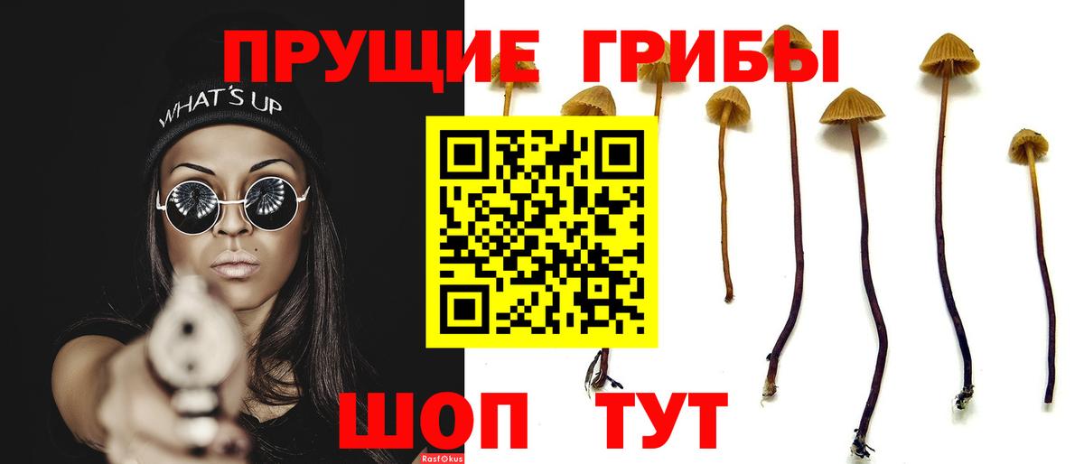 Галлюциногенные грибы MAGIC MUSHROOMS Сертолово